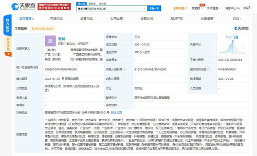 信息系統(tǒng)集成服務(wù) 企業(yè)數(shù)字化轉(zhuǎn)型的核心引擎
